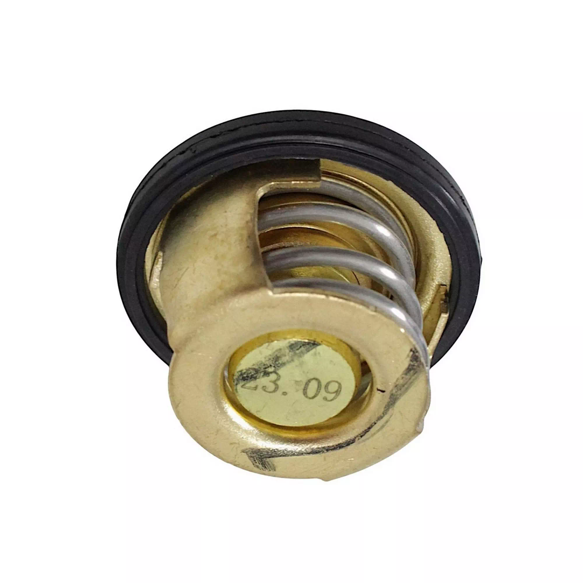 QJ MOTOR SRK 125-S TERMOSTAT [125-S] #RK 55236